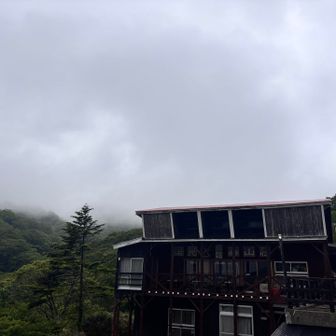 今回もずっとガスだったな🥺