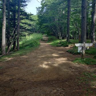 ブナ坂から、また登りです。