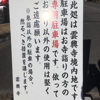 だ、そうですよ。