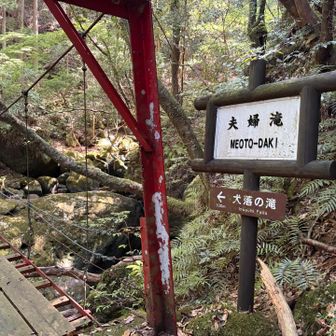 橋
揺れる