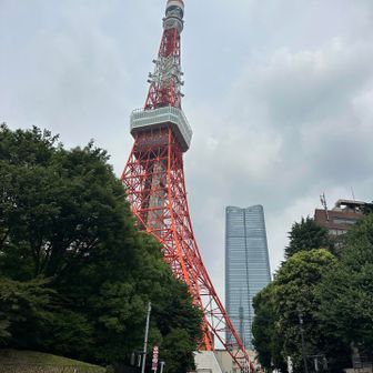 カッコいい東京タワーです⤴︎