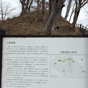 説明書いてました