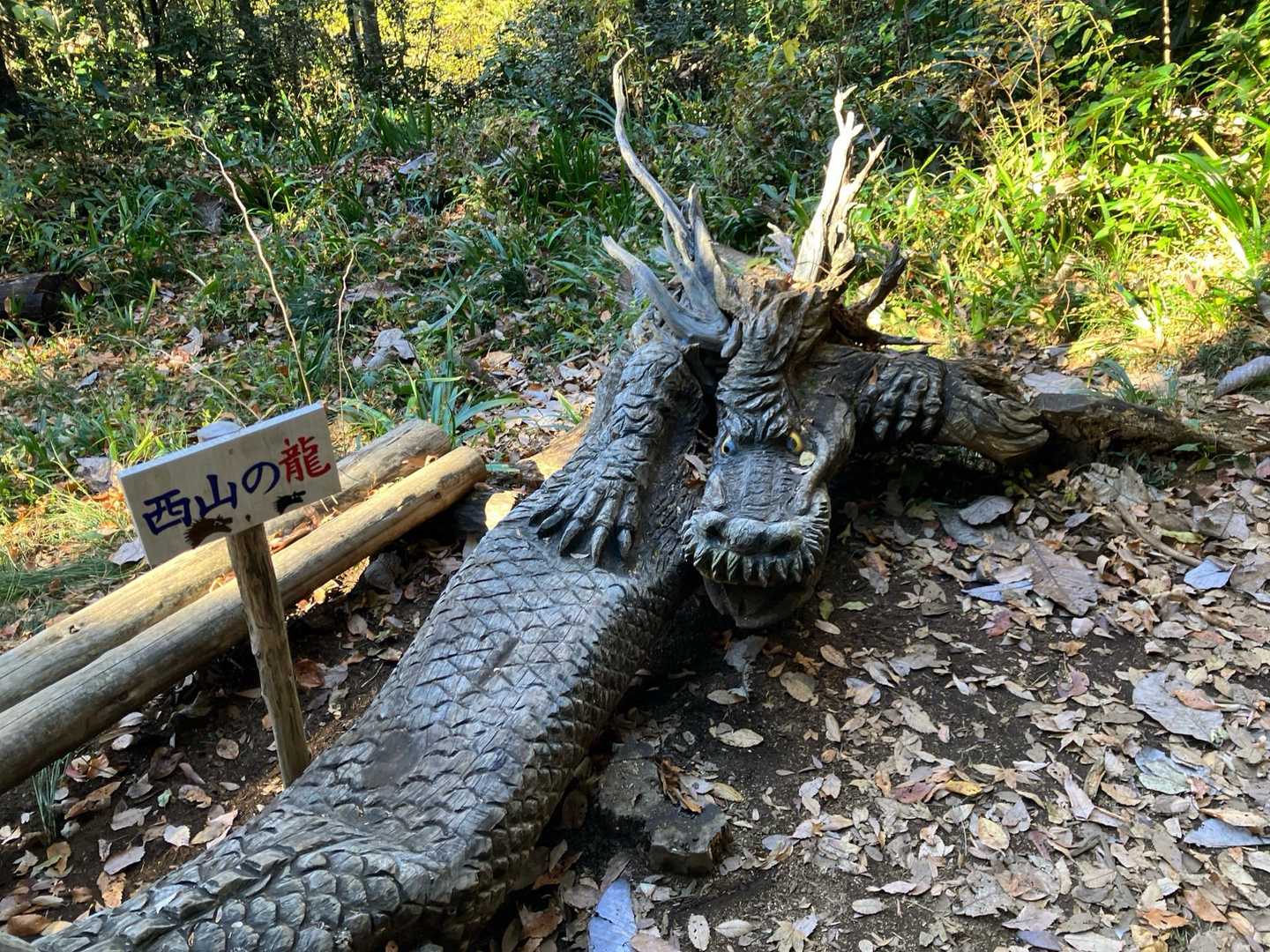 良く見かける🐉