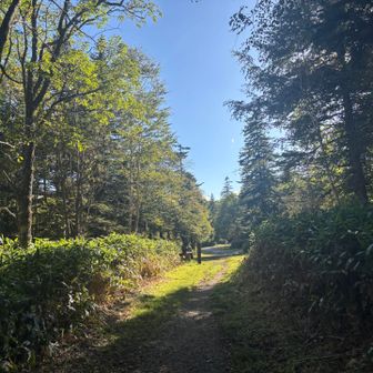 ひたすら下ってゴールが見えてきました！
期待以上の絶景と紅葉とナッキー
最高の山でした！

おしまい。