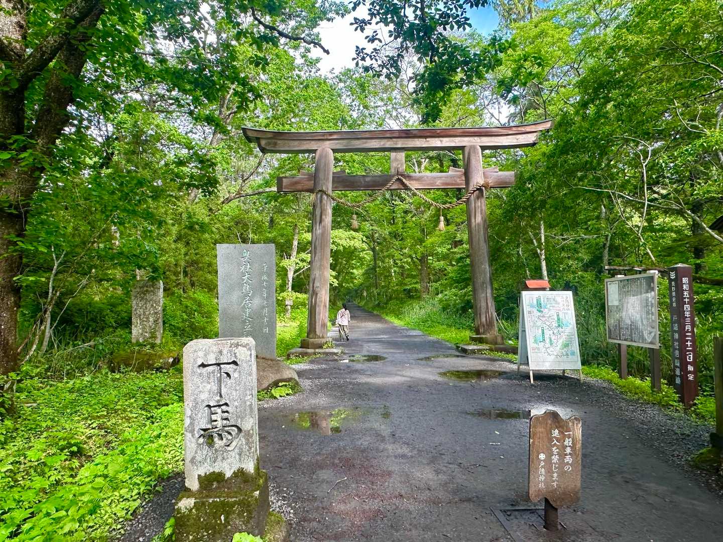 鳥居⛩️