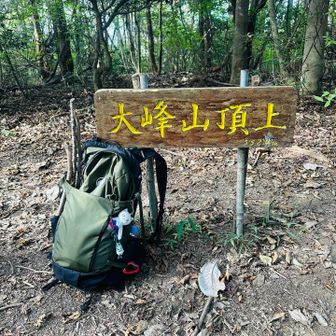 久しぶりの大峰山、切った木を拾って貰って帰って何に使うでしょうか⁉️😆
