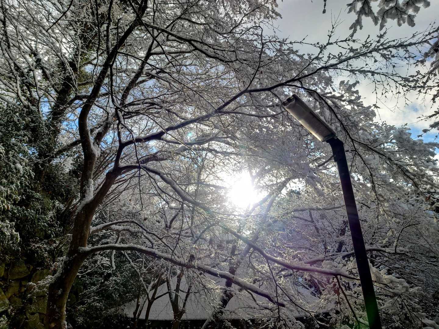 日が差すと落雪がすげぇ😵‍💫