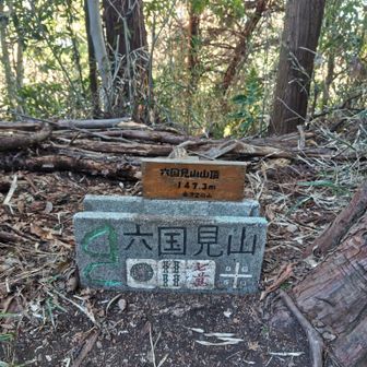 到着〜

20人以上の集団の方に会う…
オトナの遠足みたいで、楽しそうだった☝️