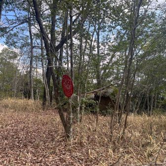 山頂🪧見当たらない。