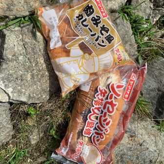 頂上で食べようと持ってきたけど、バテバテで食べる気しない

矢場とんとヤマザキのコラボパン

帰りの車で美味しくいただきました




