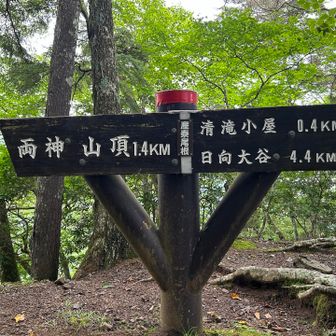 坂を登り切り、産泰尾根へ到着
ここから鎖場が複数出てくる。