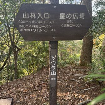 周回コースになってるね