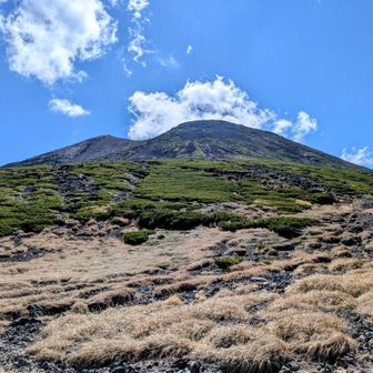 スニーカー族をﾋｮｲﾋｮｲ追い越し下山。
自分が登って来たところを眺めながらコーヒータイム