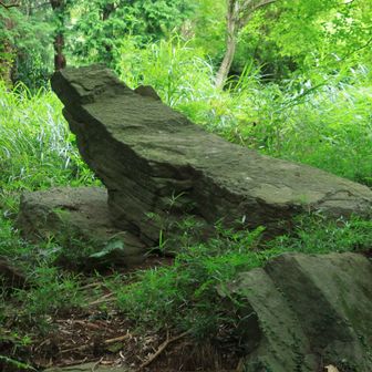確かワニ岩と呼ばれていたような