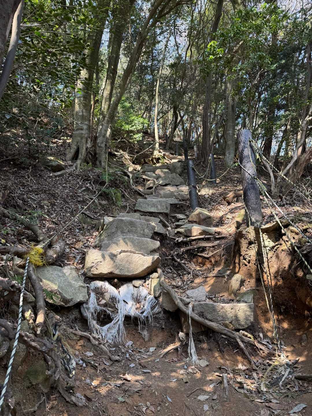この大谷乗越の下りは、六甲山全山縦走時は、恐怖です💦