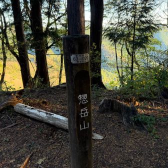 三つ目、惣岳山
バリケードに覆われてる社に手を合わせて下山
