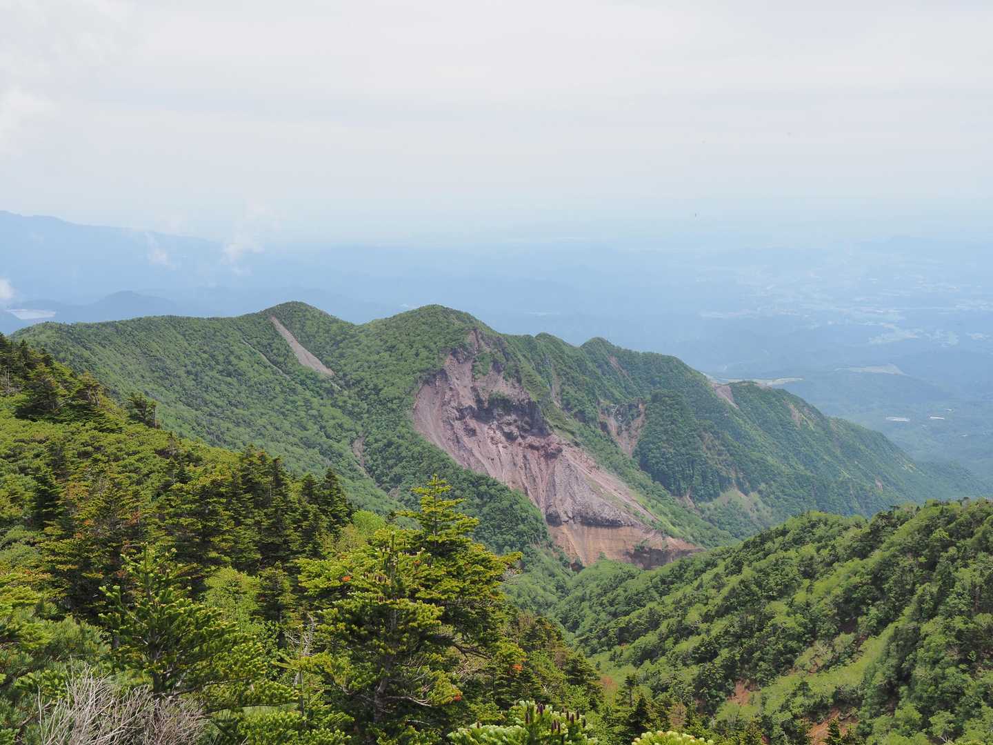 目の前にはshuさんと去年の2月に登った赤薙山があった⛰
しばらく赤薙山を眺めて下山する事にした
