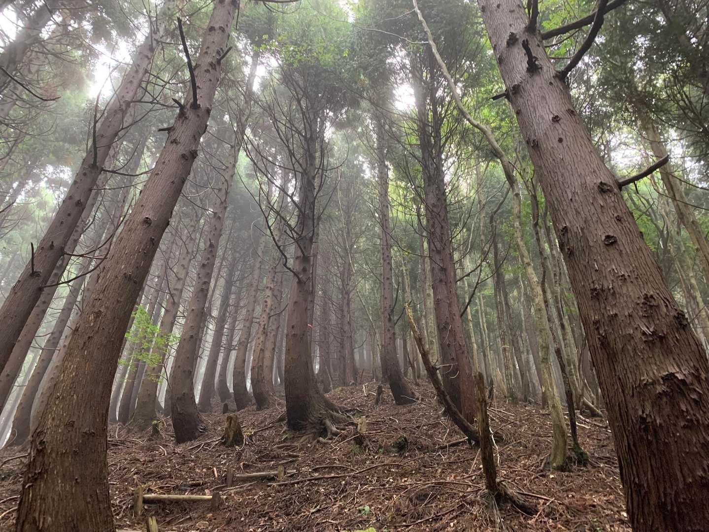 宍粟の山っぽいねー👍🏻✨
とてもキレイな山です