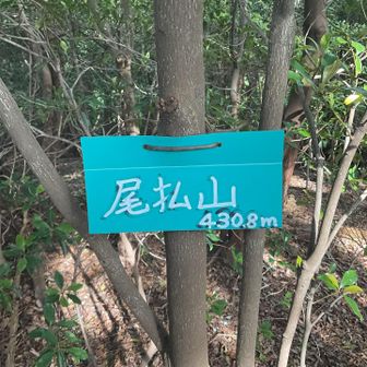 尾払山、お祓い⁉️ダムに沈んだ集落の名称の様でした😢