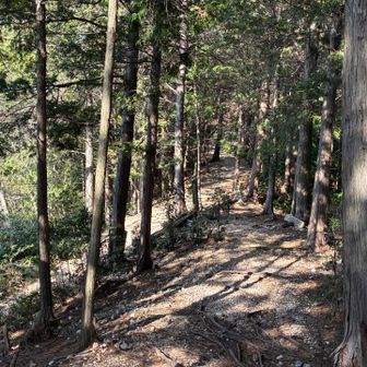 健脚コースと合流します