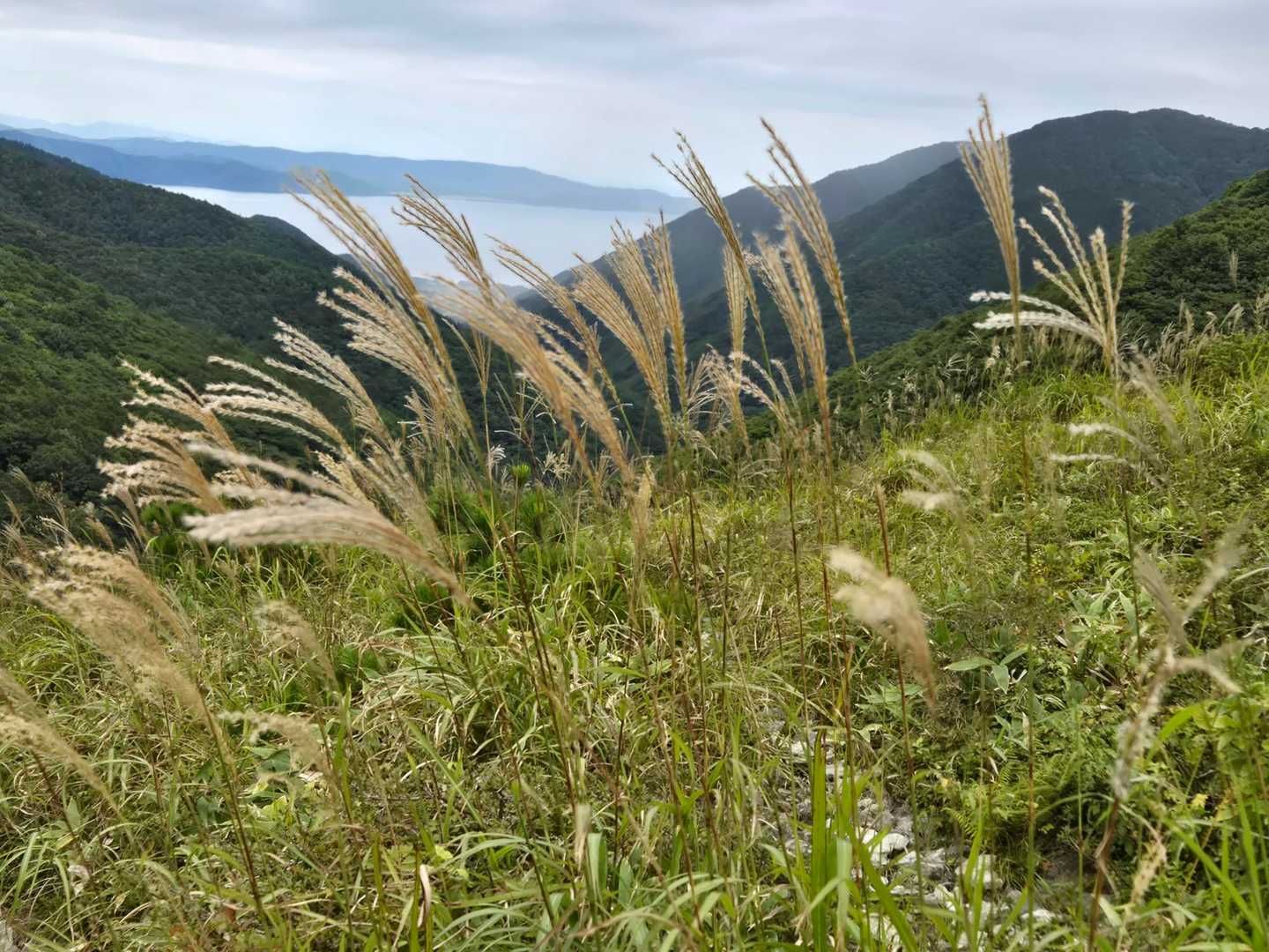 山はもう秋です🌾