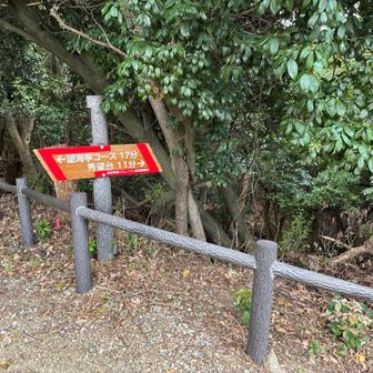 秀望台方面から帰ります