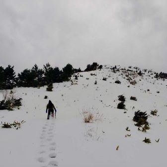 高山までの登りキツいなー