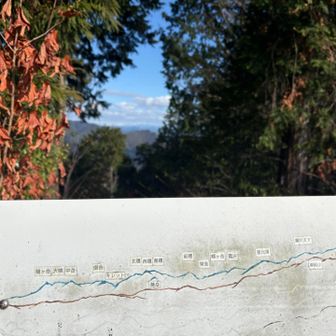 木の間から見える山　北方面