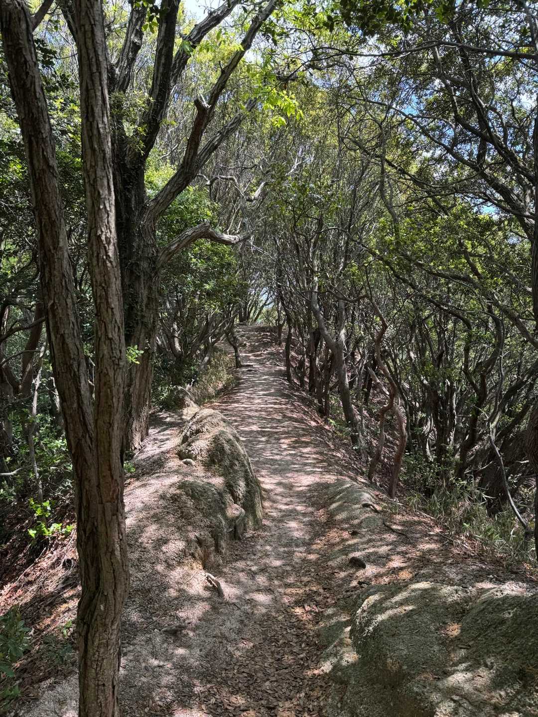 東山で軽めの昼食を取って、板宿へ下山します🚶