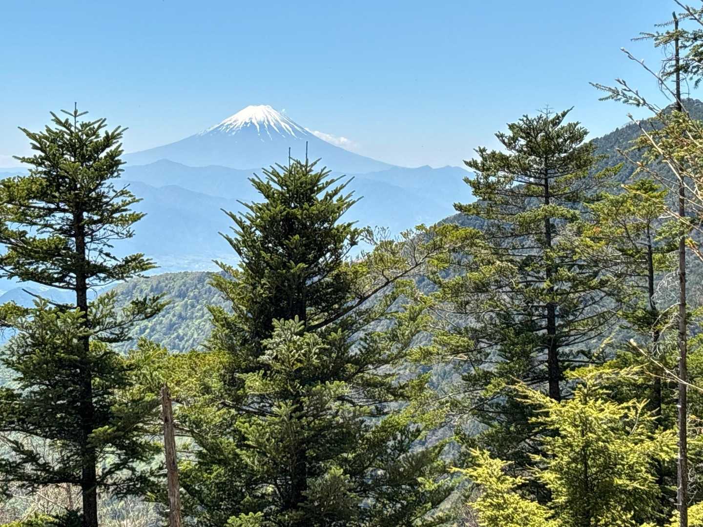 黒金山登山口-牛首のタル-黒金山 往復コースの写真