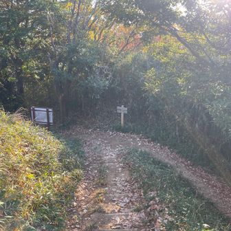 さぁ夕飯作りに帰ります😊