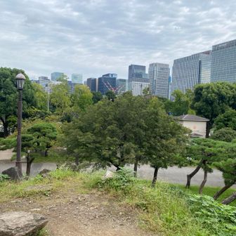日比谷公園のピーク