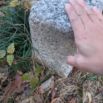 ちょっとそこまで
三角点