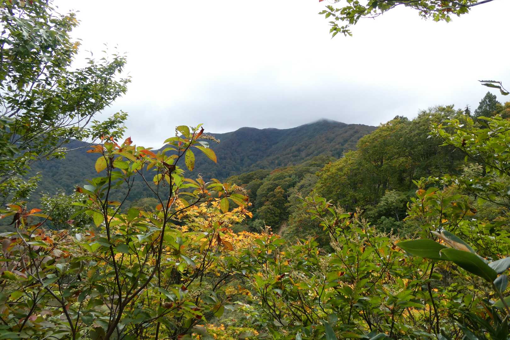 高松岳が見えてきました。
