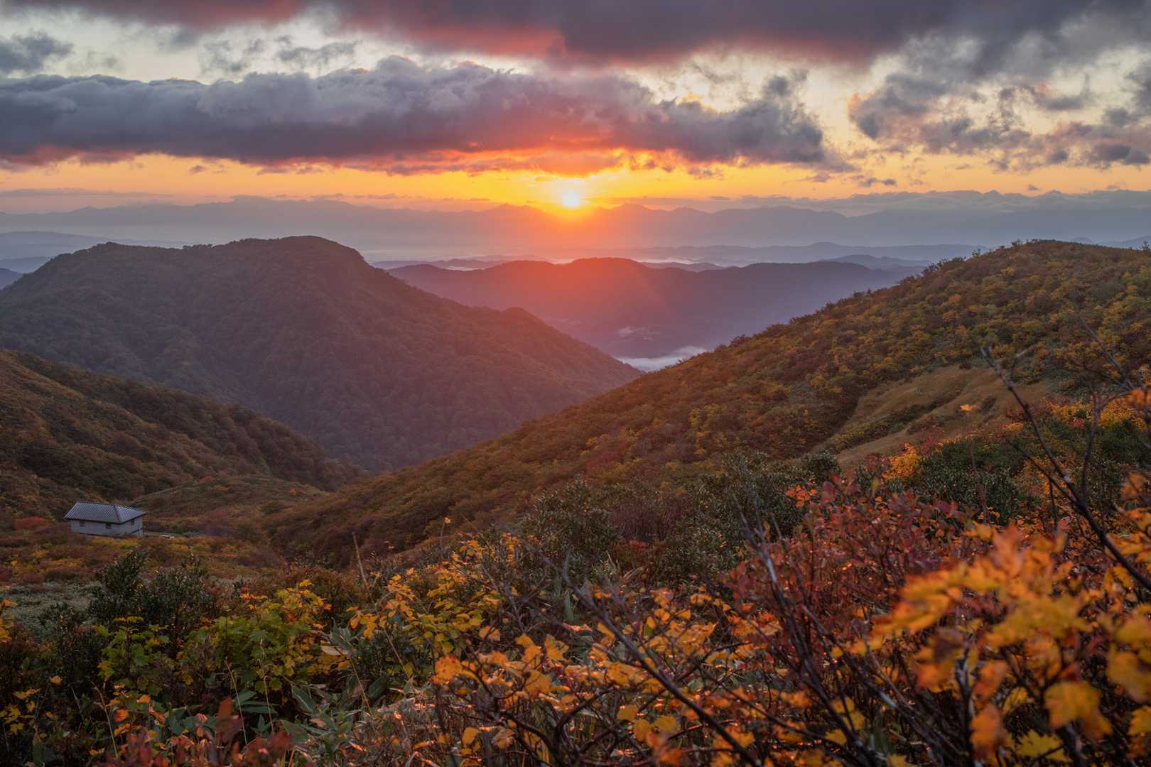 紫ナデ-小障子-障子ヶ岳-粟畑-天狗角力取山-焼峰 周回コースの写真