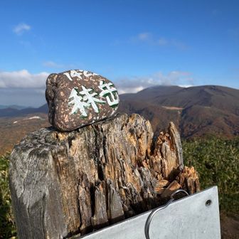 周回しております🚶‍♀️