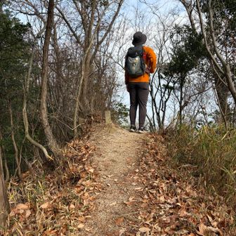 モンベルのオレンジミドルコーデ
普段使いにも向いてるのでいい買い物になった