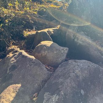 岩が多くなってきました
