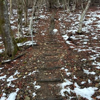 竜王山への階段