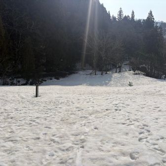 花立コース登山口。