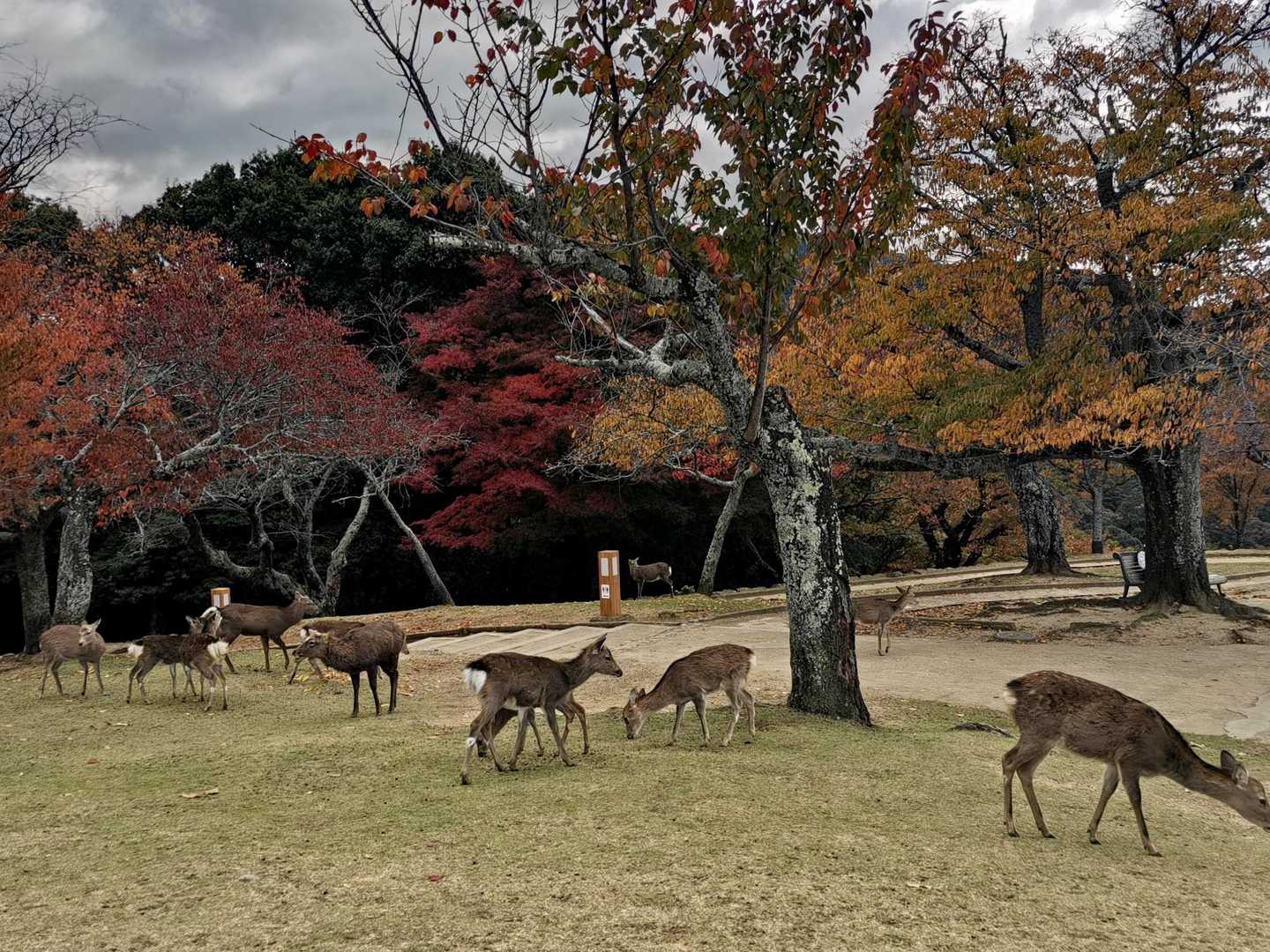 のんびり