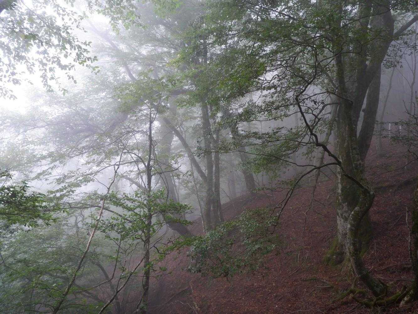 下り始めると幻想的な景色