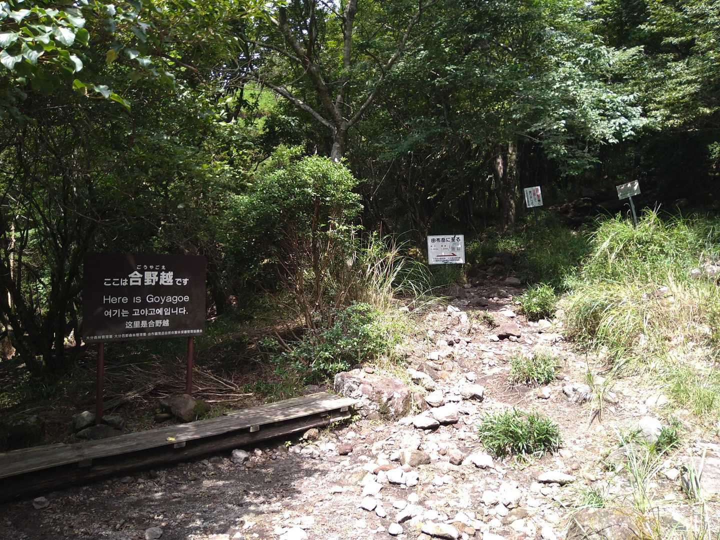 石がゴロゴロしてて足をとられます。