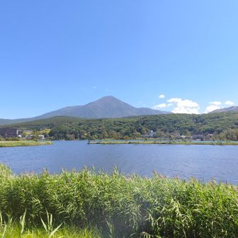 アルピコ交通車山行きバスで1時間。
白樺湖東で下車します