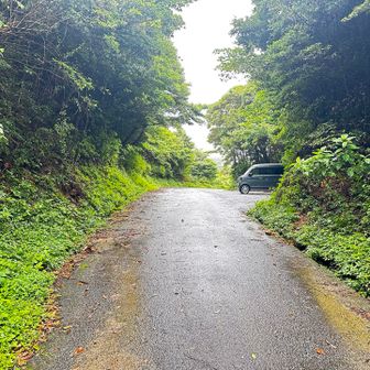 ちょいと物足りないのでお次の山へ〜