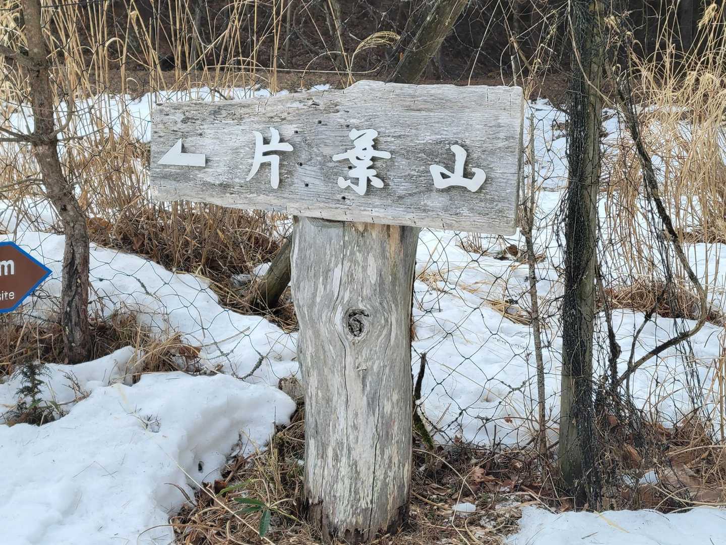 3人一緒に出発