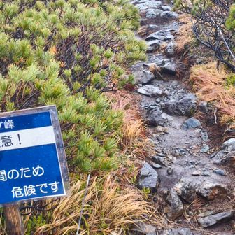 だそうです🥲山頂から降りるとき滑り背中を痛めたので行くの止めました😵‍💫