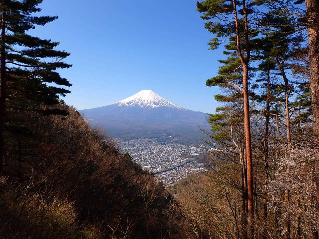 オォー！絶景の登場(#^^#)