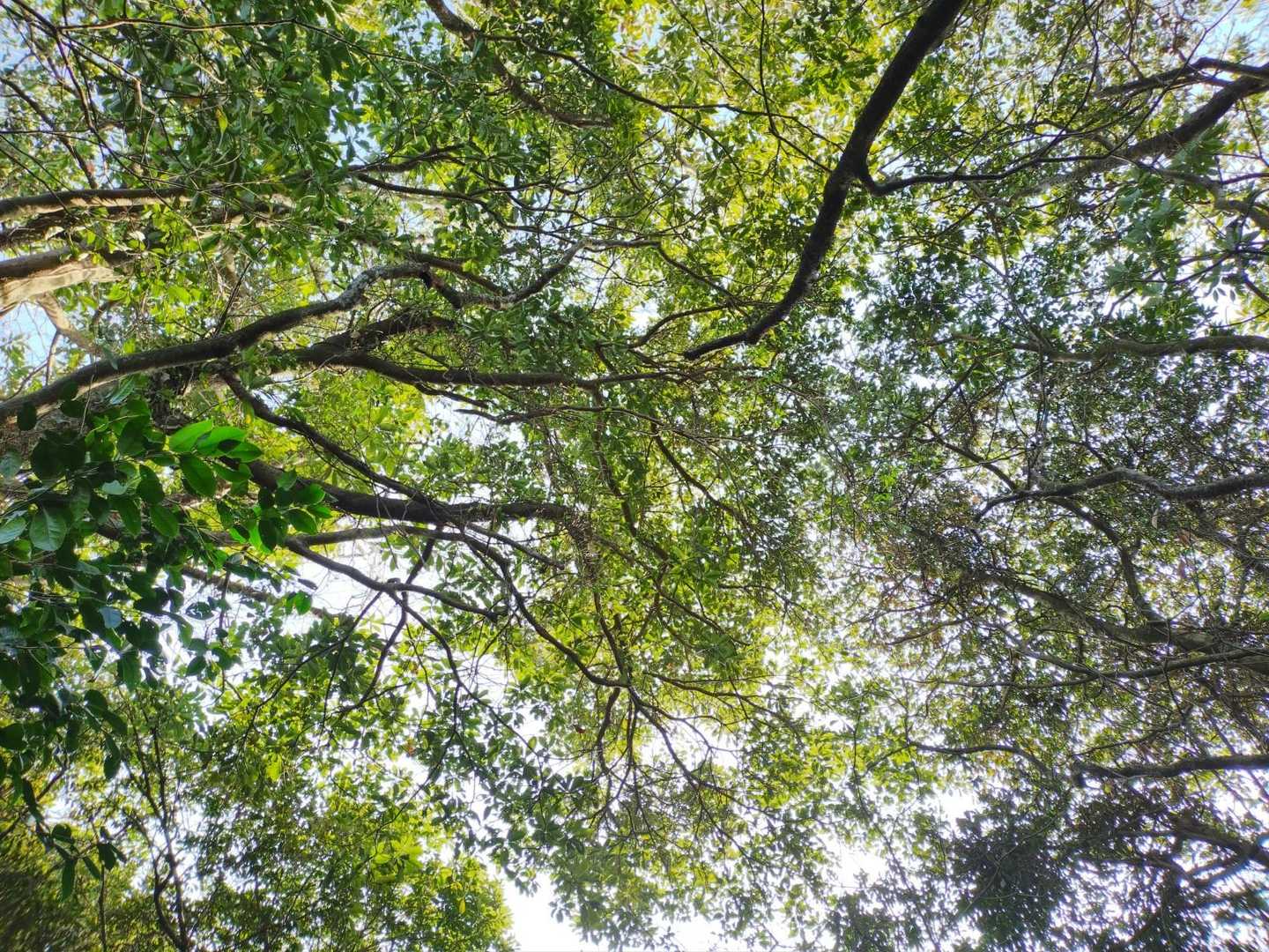 朝はあんなに曇ってたのにいつの間にか晴れてる🌞