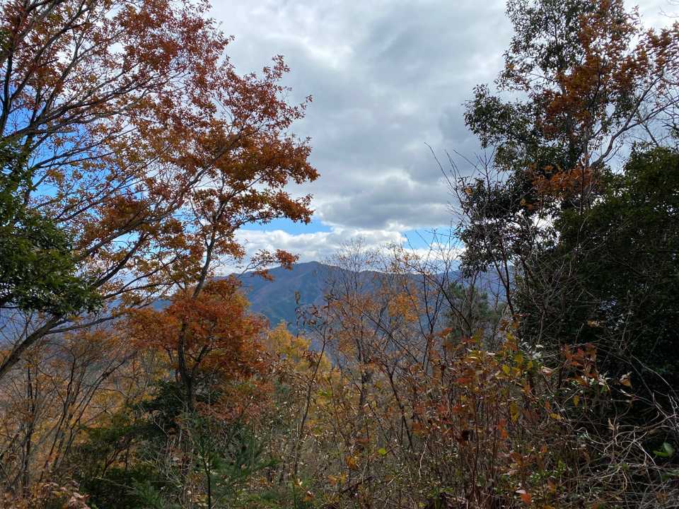 山頂からの眺望です。
うーん、どこが見えてるのかな？😅
この後、駆け下りてゴールです。

お疲れ様でした。